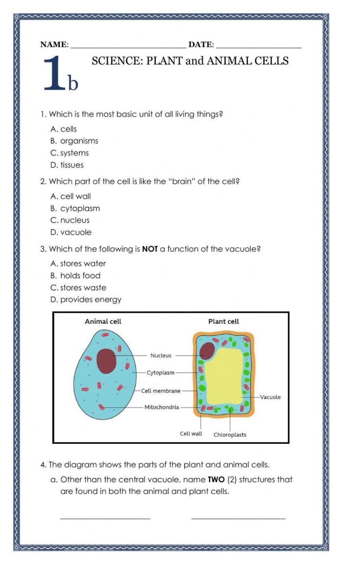 Diagram comparing the labeled structures and organelles found in animal cells versus plant cells for biology students