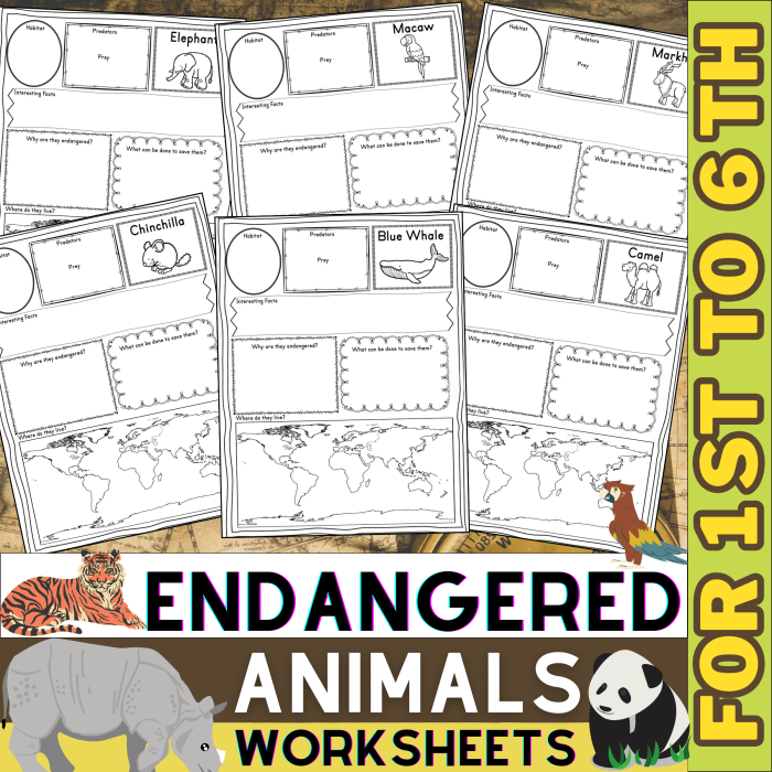 First grade student worksheet featuring an animal research graphic organizer for classroom learning