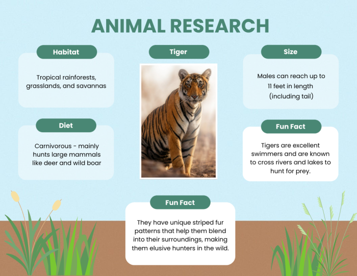 First grade student filling out an animal research graphic organizer worksheet about their favorite animal