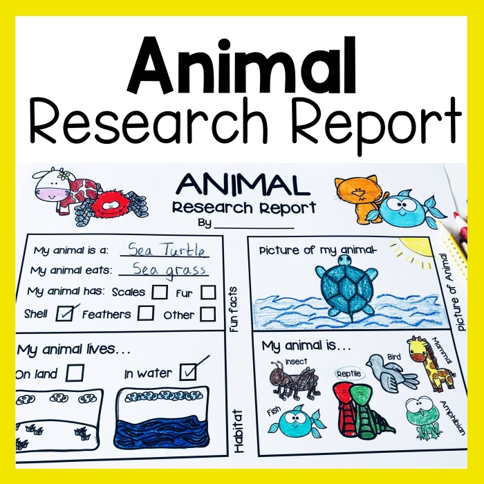 First grade student completing an animal research graphic organizer worksheet with sections for writing about their favorite animal