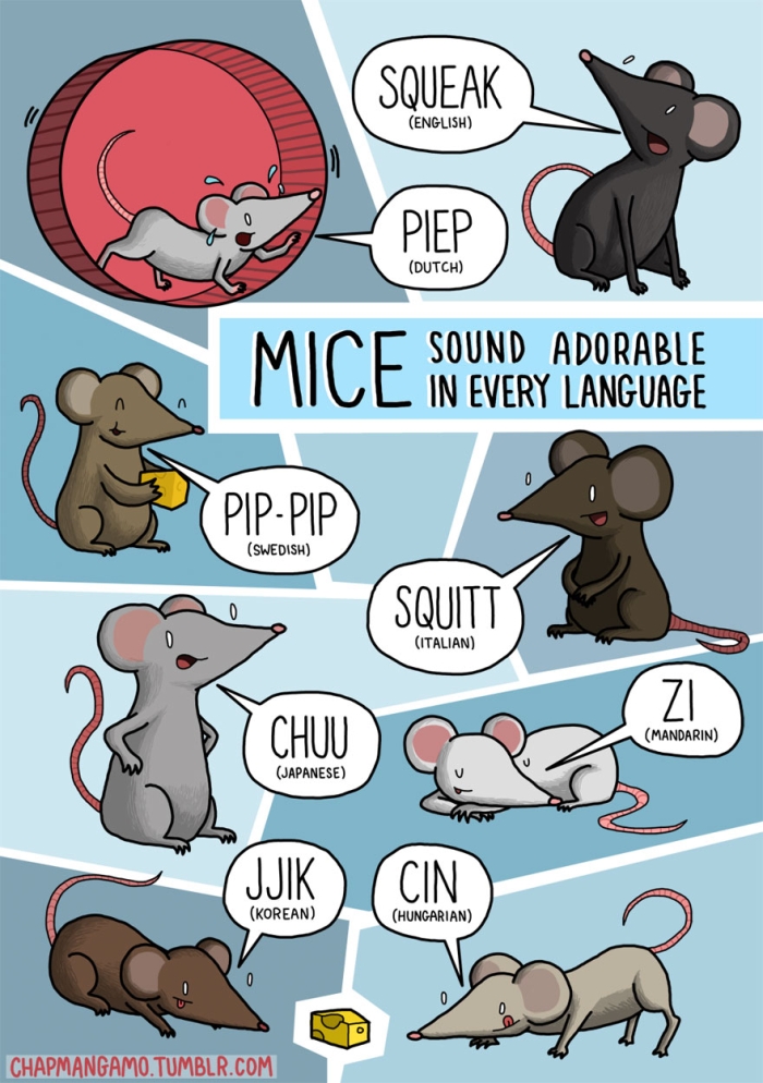 Onomatopoeia word search activity for exploring animal sounds across different cultures Worksheet featuring a word search puzzle of animal sounds in various languages for fifth graders
