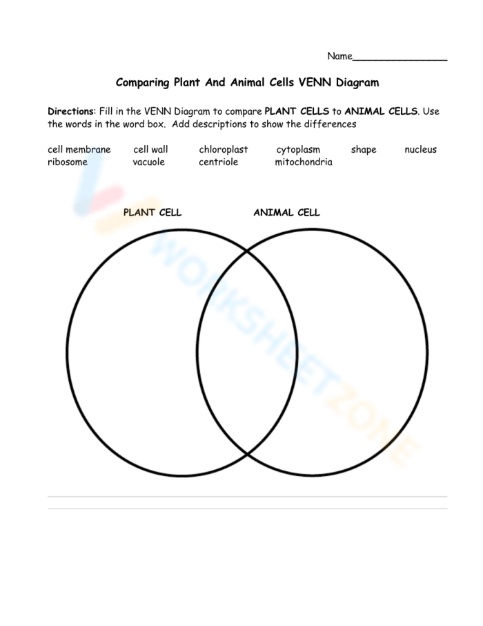 Animal and Plant Cells Worksheet 17 Sixth grade science worksheet comparing the structures of plant and animal cells