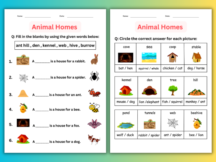 Animals and their Homes Counting Worksheet 23 for Preschoolers Pre-K worksheet page featuring various animals and their habitats for counting and matching practice