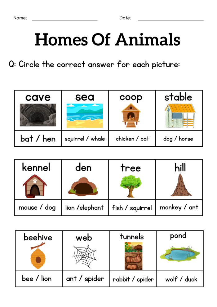 Animals and their Homes worksheet for early science and counting skills 25 Pre-K worksheet page featuring various animals and their matching homes for counting practice