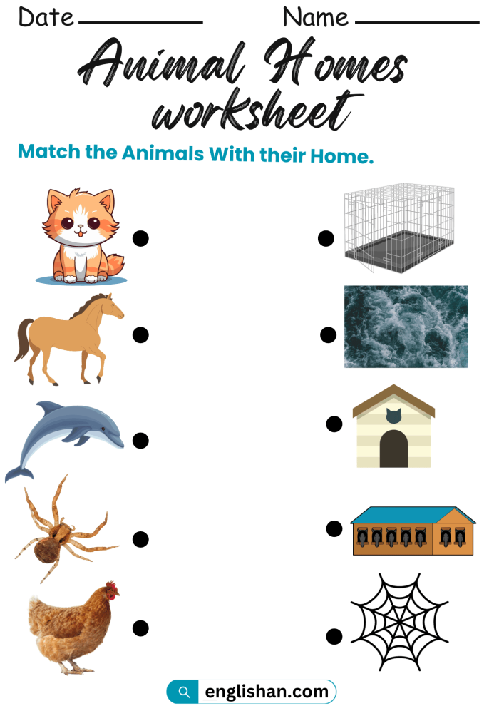 Educational resource for teaching animals and their habitats in a fun way Colorful worksheet featuring various animals and their homes for Pre-K children
