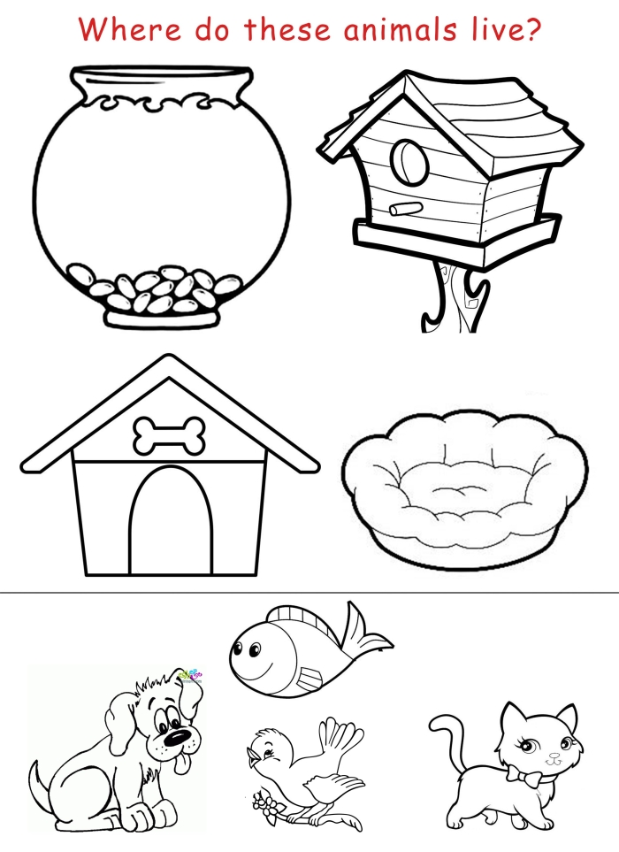 Animals and their Homes Worksheet for Counting and Sorting Skills Pre-K worksheet showing various animals matching with their correct habitats for early science practice