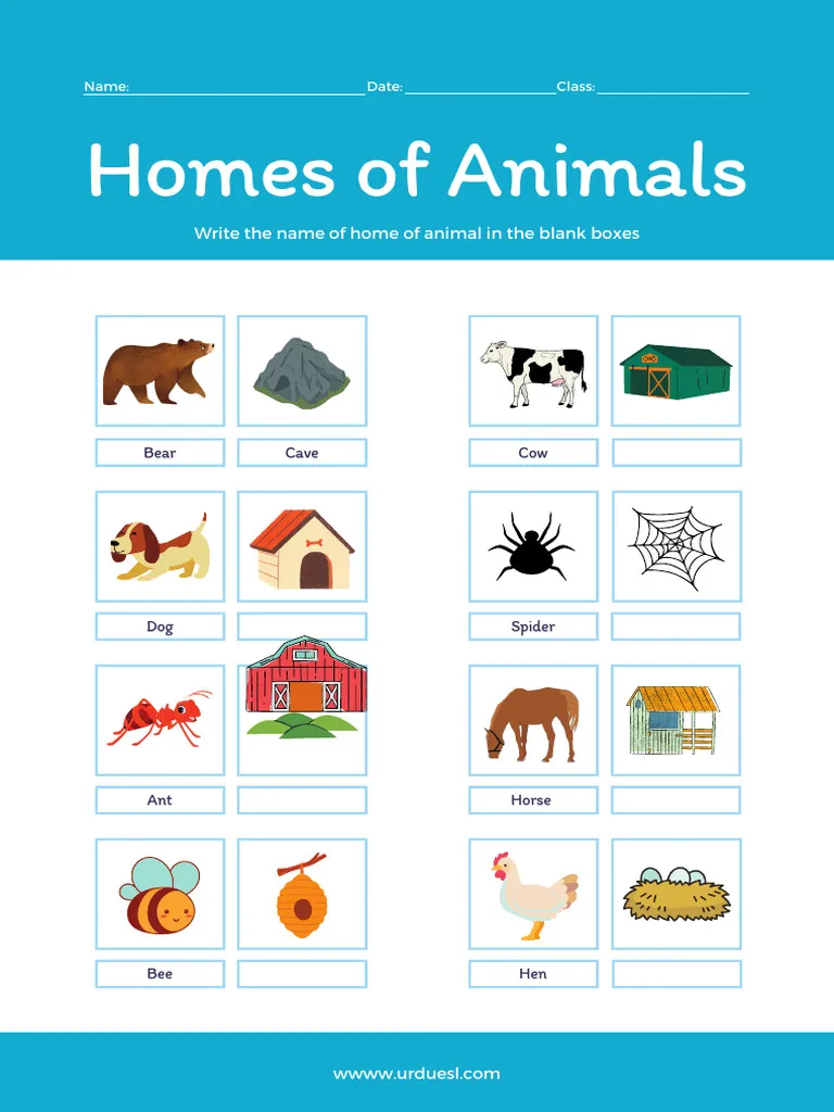 Illustration of Animals and Their Homes for Numbers and Counting activities Colorful worksheet featuring various animals and their corresponding homes for Pre-K learners