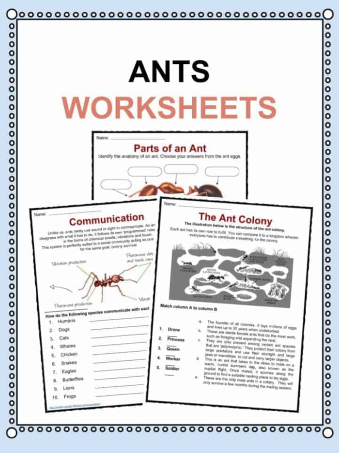 First grade reading comprehension worksheet featuring a writing exercise about The Ants and the Grasshopper fable