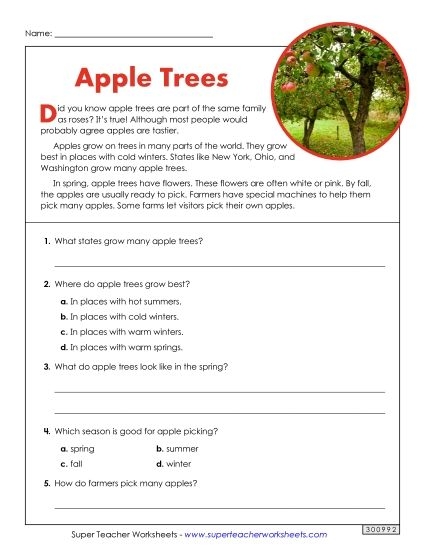 Second grade student reading an Apple Picking fluency worksheet about orchards and geography