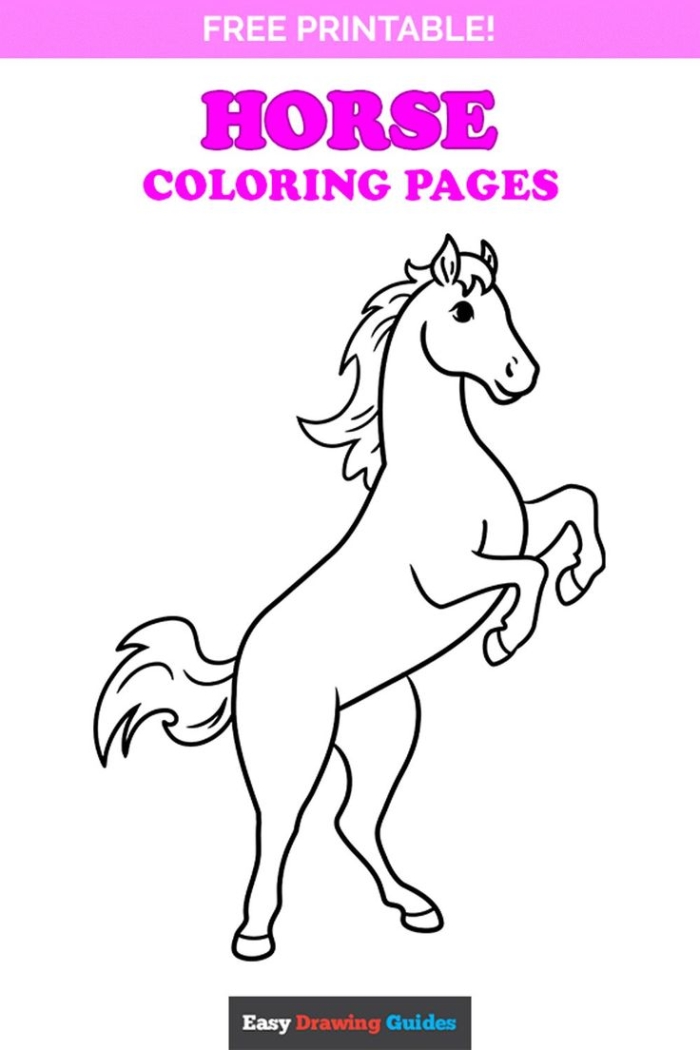 Colorful worksheet featuring an Arabian horse crossword puzzle and coloring activity for second graders