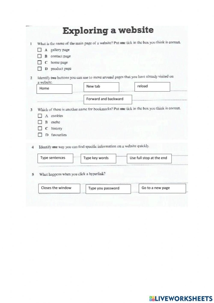 What's Your Argument Internet Access Writing Prompt for Middle School Grade 6 Sixth grade student writing an argumentative essay about internet access rights on a worksheet