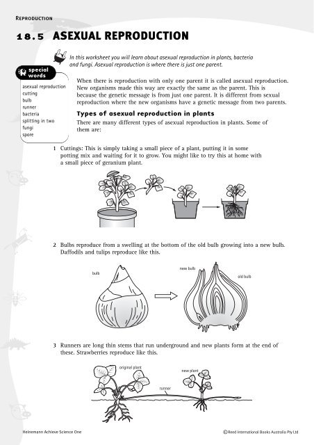 Sixth grade science worksheet covering the distinct processes of asexual and sexual reproduction in living organisms