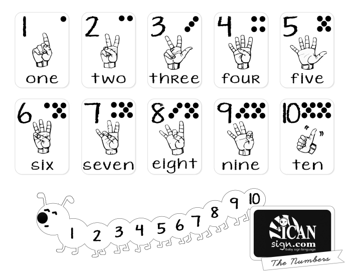 ASL Secret Code Number Practice Worksheet Number Nine Fourth grade student using an American Sign Language code key to solve a secret numbers and counting worksheet