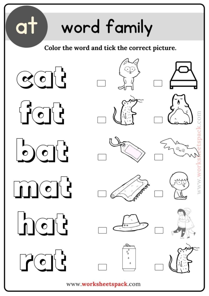 Pictures showing cat, bat, and hat with blanks to fill in missing first letters for at family words