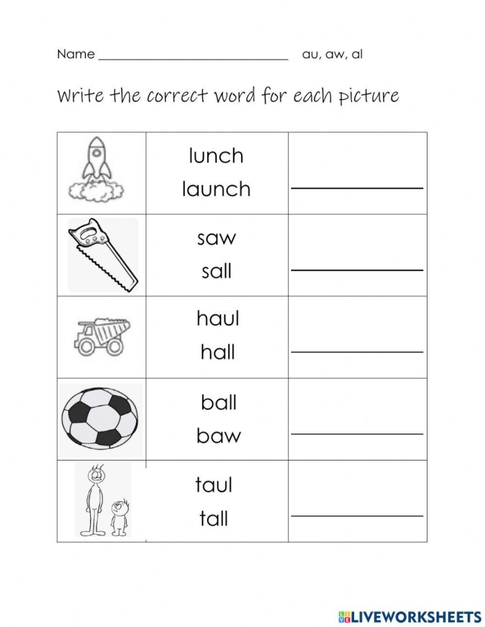 Grammar and Mechanics worksheet for Second Grade Aw/Ow Sound Check-in worksheet for Second Grade