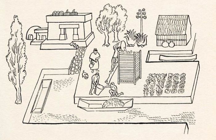 Aztec Chinampas Floating Gardens Worksheet 12 Sixth grade reading comprehension worksheet featuring an illustration of Aztec chinampas farming systems