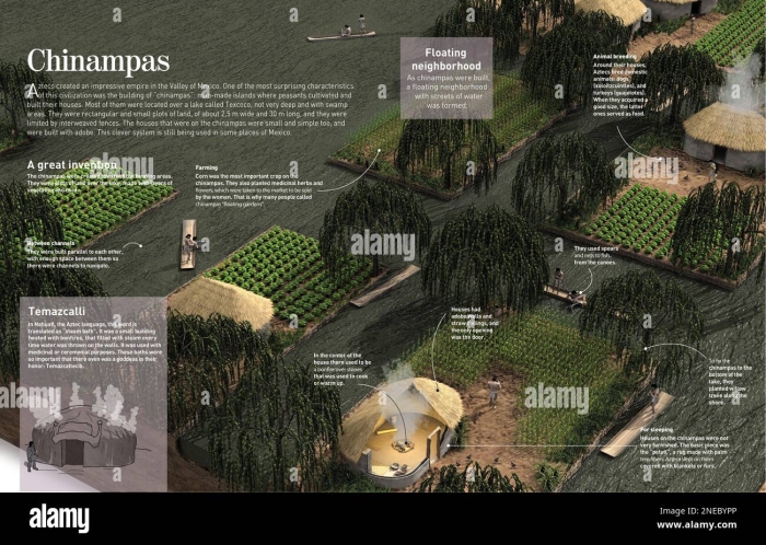 Aztec Chinampas Floating Gardens Reading Comprehension Worksheet 17 Sixth grade worksheet featuring an illustration of Aztec chinampas floating gardens for history class