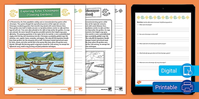 Aztec Chinampas Floating Gardens Reading Comprehension Worksheet 10 Sixth grade social studies worksheet featuring an illustration of Aztec chinampas farming systems