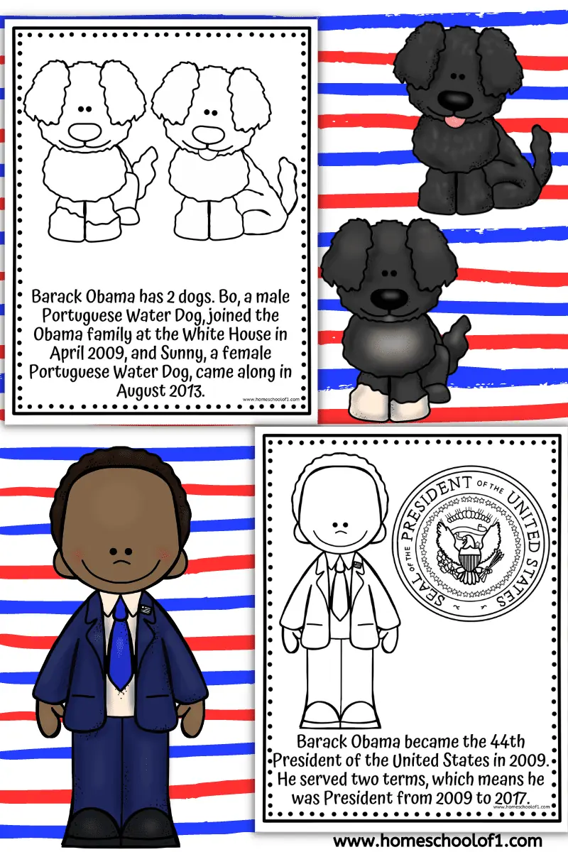 Second Grade Timeline Worksheet: Learning About President Barack Obama's Life Events Barack Obama timeline activity showing key events from his life for second grade students learning about the 44th U.S. president