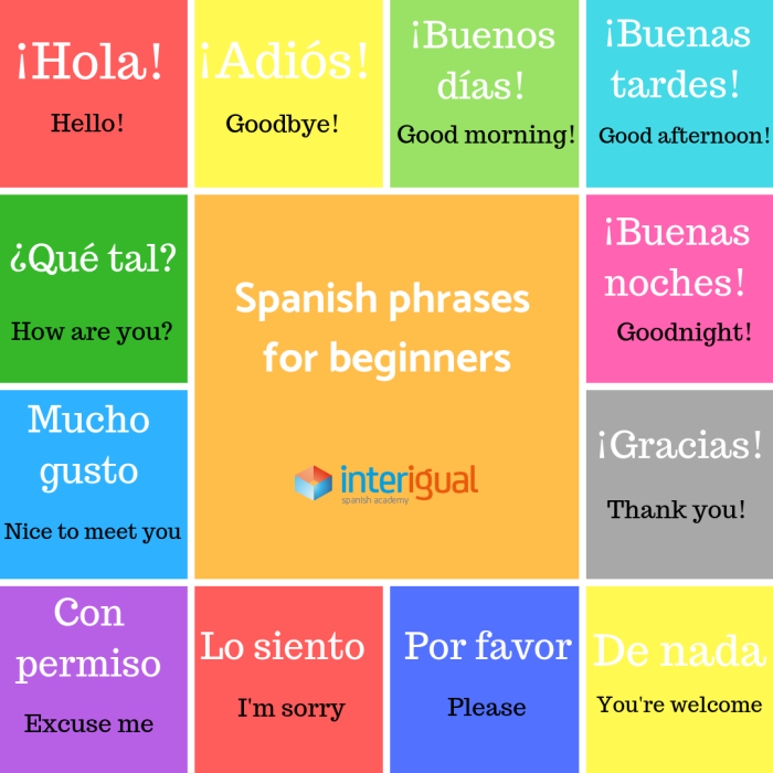 Basic Spanish Phrases worksheet for Second Grade