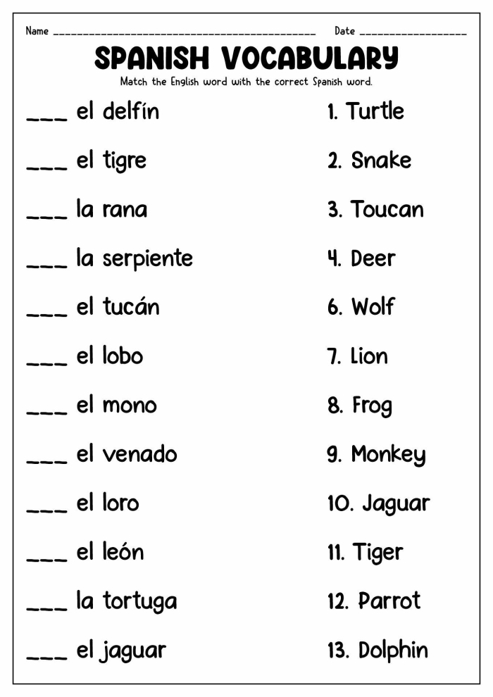 Basic Spanish Phrases worksheet for Second Grade