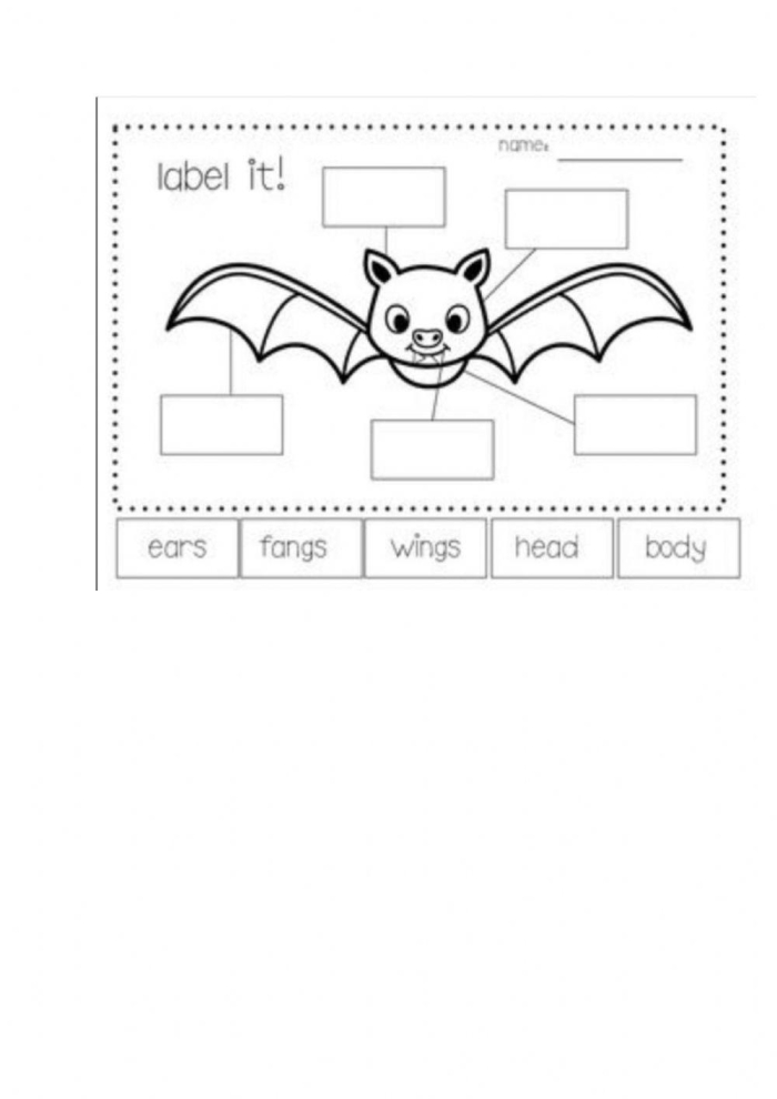 First grade reading comprehension worksheet about fascinating bat facts