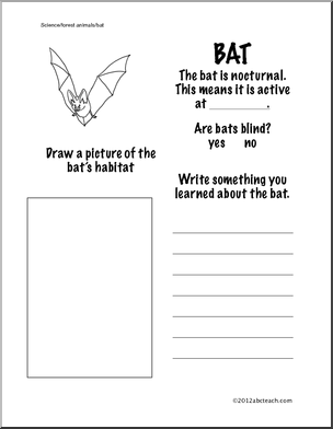 A first grade student worksheet about interesting bat facts with reading comprehension questions and colorful illustrations of bats in flight