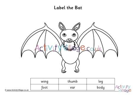 First grade student completing a nonfiction reading comprehension worksheet about bat facts