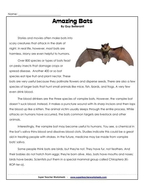 First grade students learning about bats through a nonfiction reading comprehension worksheet with geometry activities