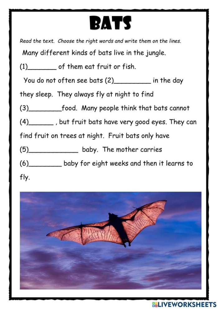 A first grade worksheet featuring a nonfiction reading passage about bats for geometry practice