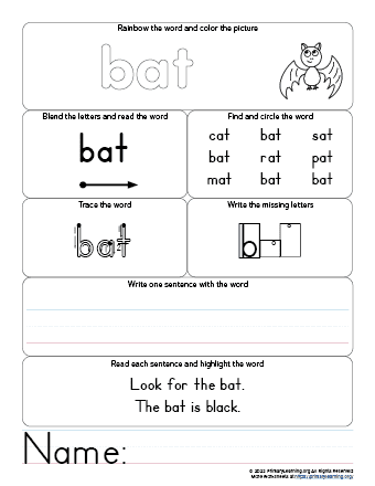First grade reading comprehension worksheet about interesting bat facts for geometry studies