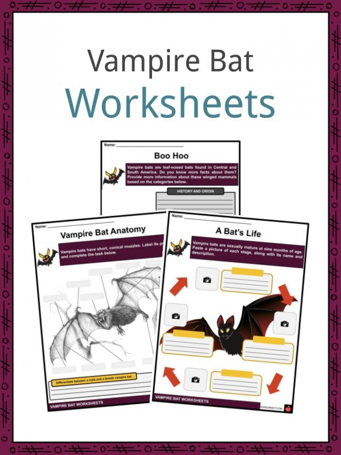 First grade students learn about bat facts while practicing reading comprehension with a nonfiction worksheet about interesting animals