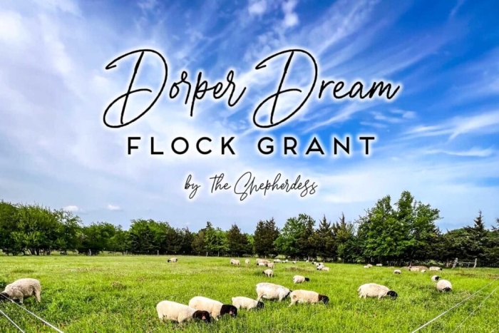 Fifth grade Earth and Space Science worksheet featuring a four-page informational text about the practice of beekeeping