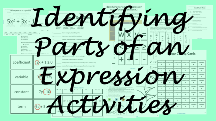 Sixth grade math worksheet for labeling algebraic terms and expressions