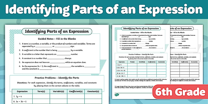 Sixth grade math worksheet focused on identifying and writing algebraic parts of an expression