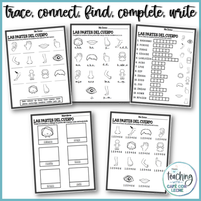 Partes del Cuerpo Spanish vocabulary worksheet for fourth grade students Fourth grade Spanish worksheet featuring a labeled diagram for practicing body parts vocabulary