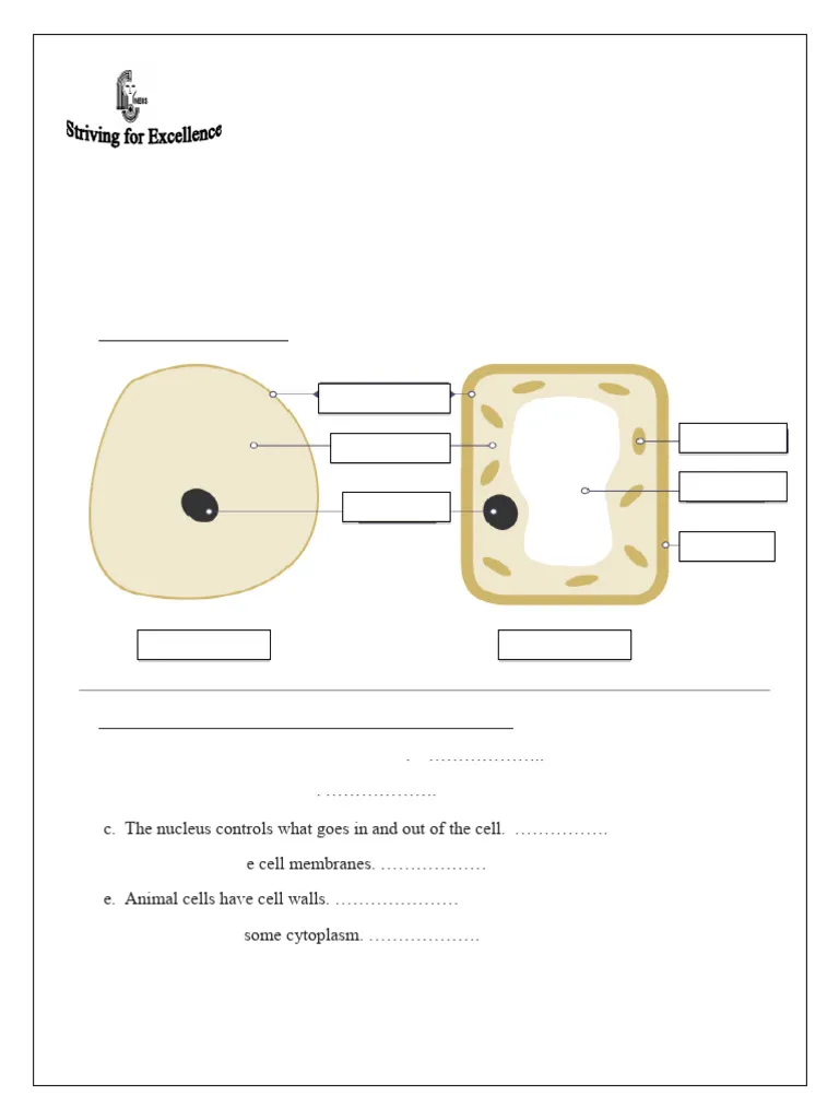 Fourth grade science worksheet explaining the basic components of a living cell