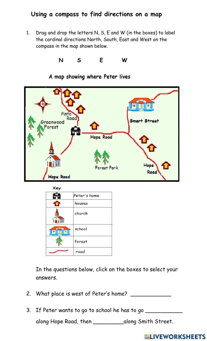 A fourth grade student learning to identify cardinal and intermediate directions using a compass rose on a map worksheet