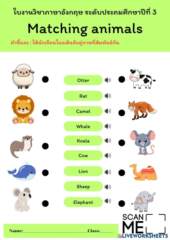 Kindergarten student matching CVC animal words to colorful animal pictures on a reading worksheet