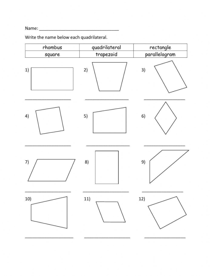 Third grade geometry worksheet showing different quadrilateral shapes for students to identify and name