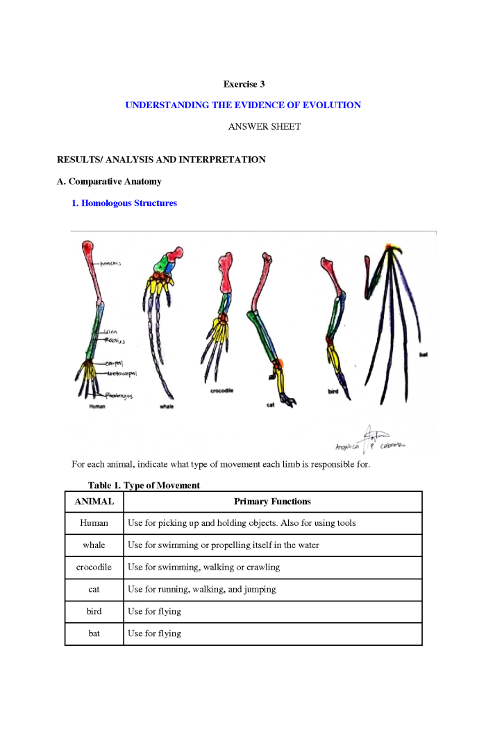 Sixth grade science students analyzing evolutionary relationships with an Analogous and Homologous Structures worksheet