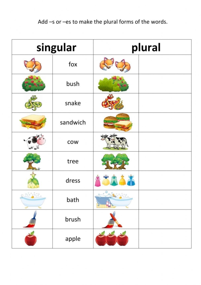 Second grade worksheet showing singular nouns with answer blanks for students to practice adding s or es to form plural words