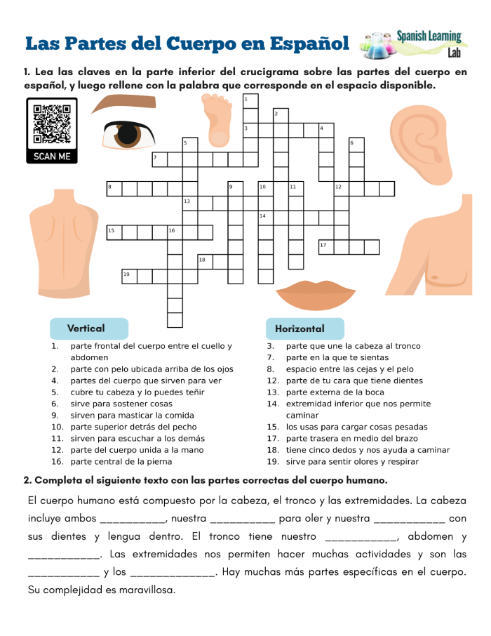 Partes del Cuerpo Worksheet for Fourth Grade Students 22 Fourth grade Spanish worksheet for learning and spelling basic parts of the body