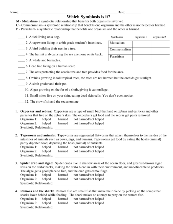 Sixth grade students learning about mutualism commensalism and parasitism in ecosystems worksheet 24