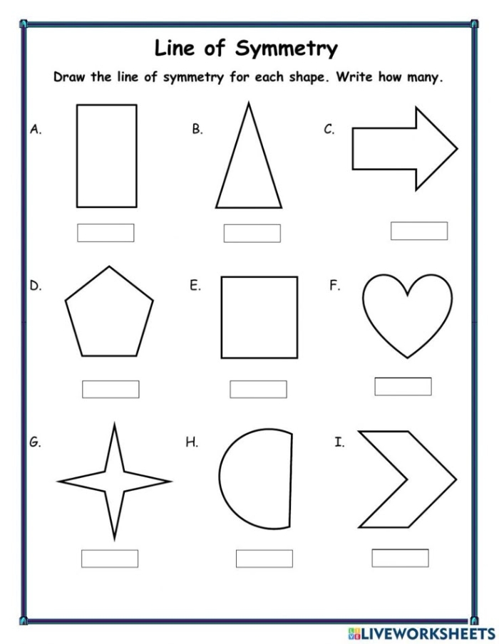 Learning Symmetry: Owl Grid Drawing Activity for Geometry Practice Second grade student completing a symmetrical owl drawing using a grid to practice geometry skills