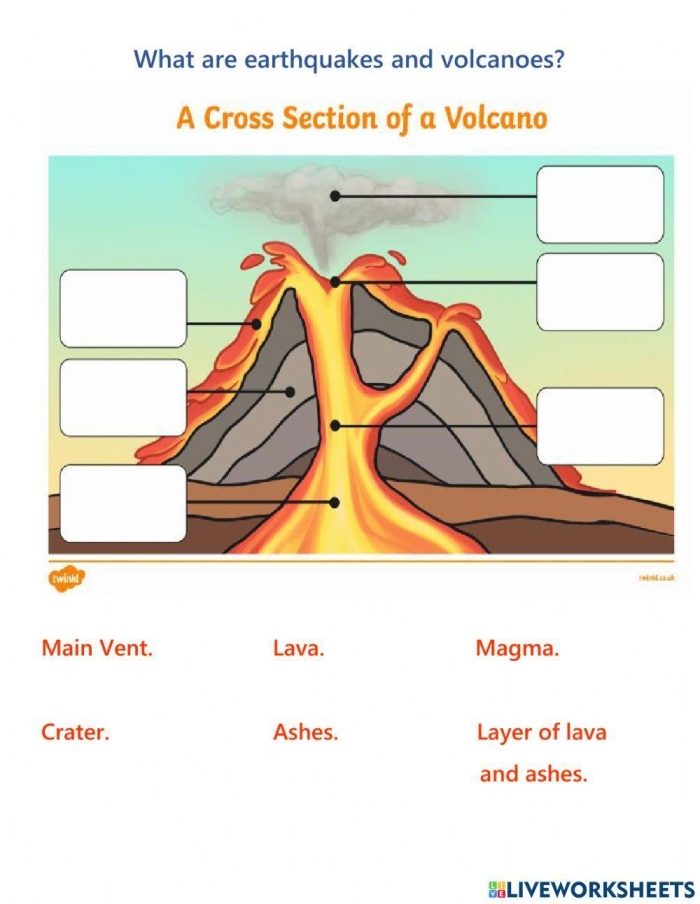 Labeled diagram showing the internal and external parts of an active volcano with magma chamber and eruption features for third grade earth science