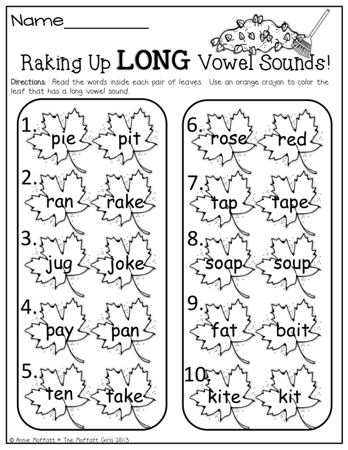Long and Short Vowel Sounds worksheet for First Grade