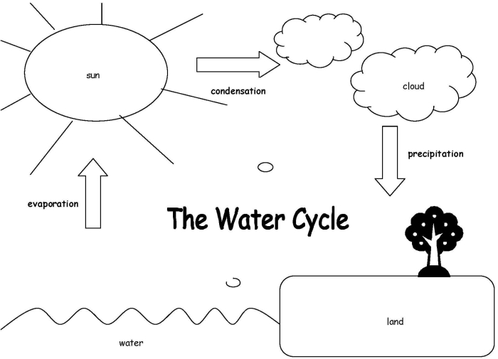 First grade student cut and paste activity worksheet for labeling the water cycle