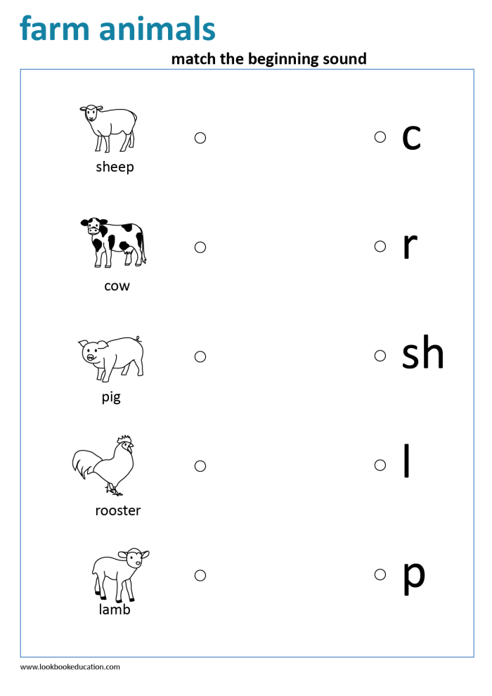 Algebra worksheet for Kindergarten Beginning Sounds Match-Up worksheet for kindergarten students to practice identifying initial sounds through picture matching. Engaging activity for young learners to enhance phonemic awareness.