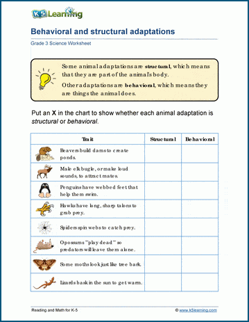 Second grade students sorting animal adaptations into behavioral and physical categories on a cut and paste worksheet